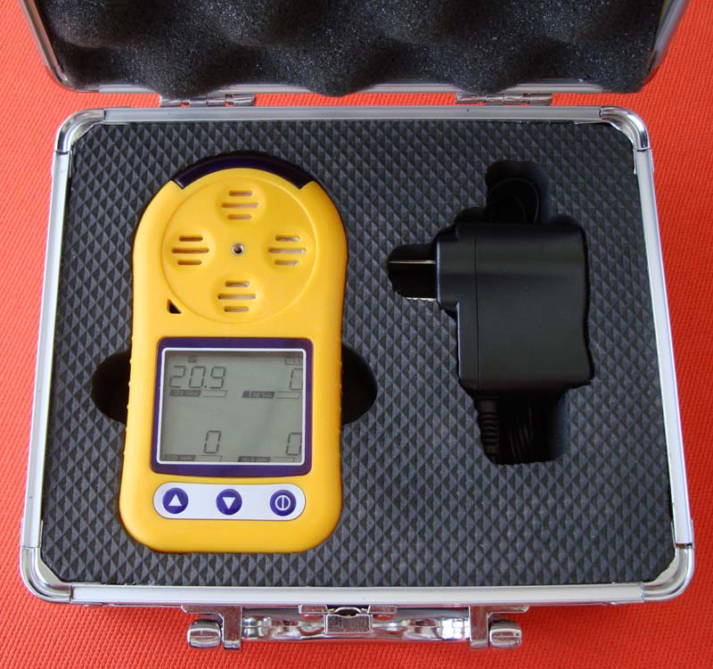 BX80便携式硫化氢检测仪